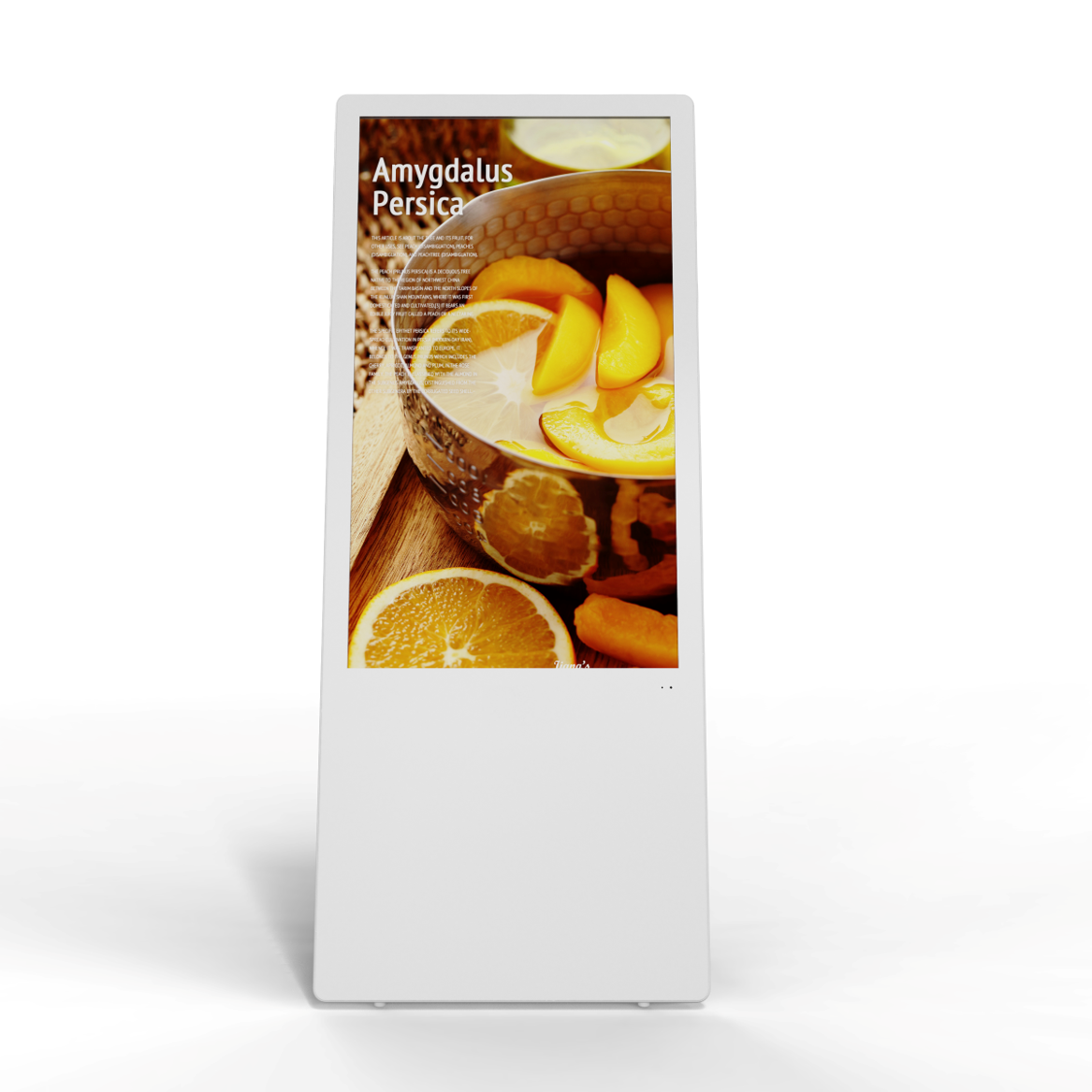 43 inch Floor Stand Digital Signage Display with Y Stand (Android Capacitive Touch and non-touch) Shipping included