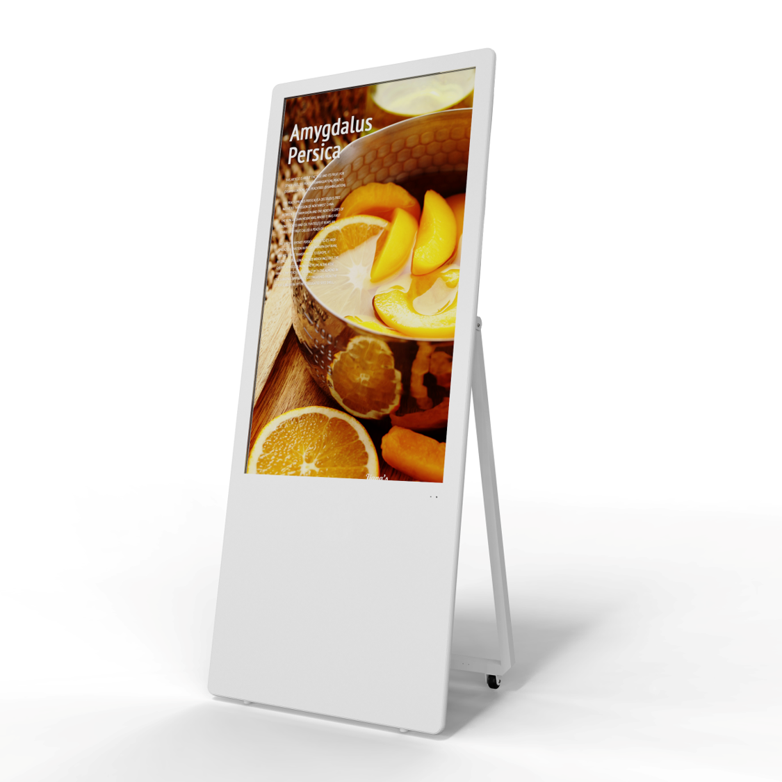 43 inch Floor Stand Digital Signage Display with Y Stand (Android Capacitive Touch and non-touch) Shipping included